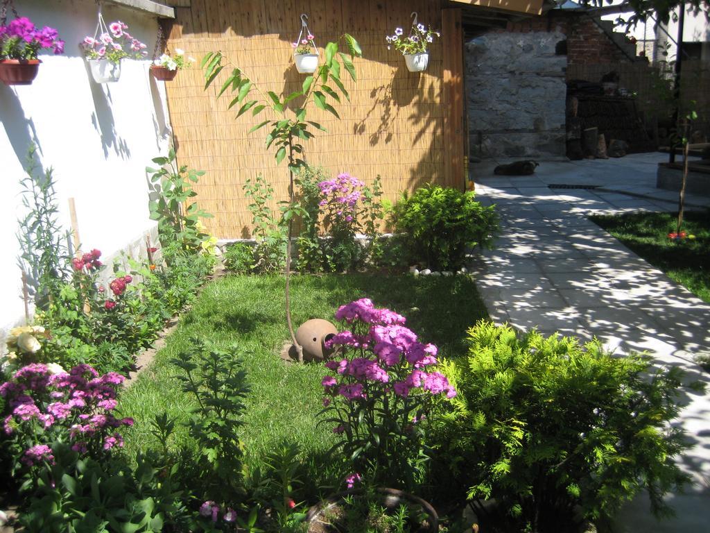 Aseva House Guest House Bansko Luaran gambar