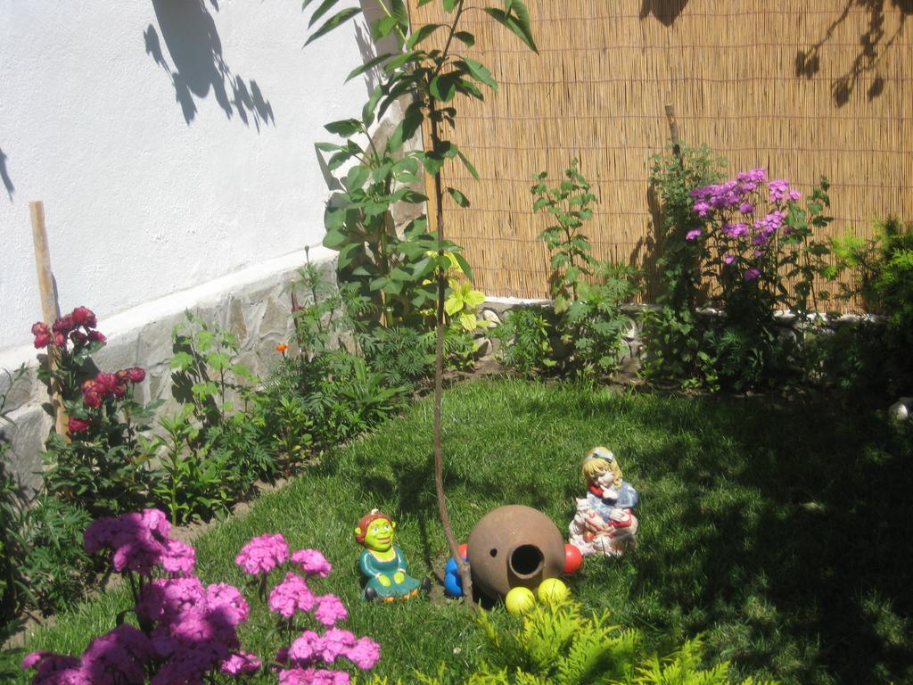 Aseva House Guest House Bansko Luaran gambar