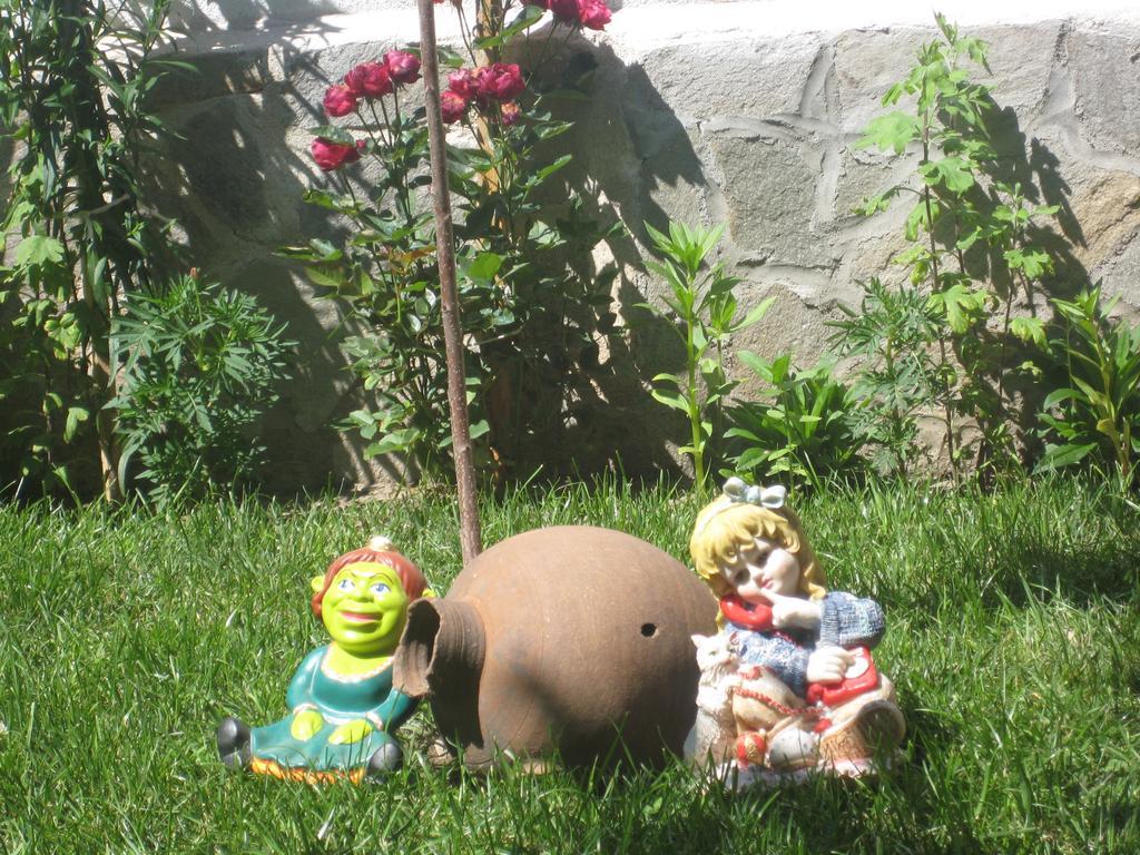Aseva House Guest House Bansko Luaran gambar