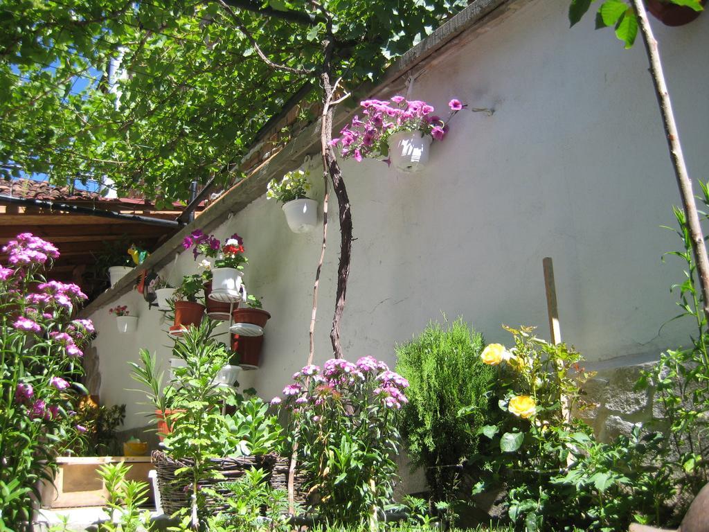 Aseva House Guest House Bansko Luaran gambar
