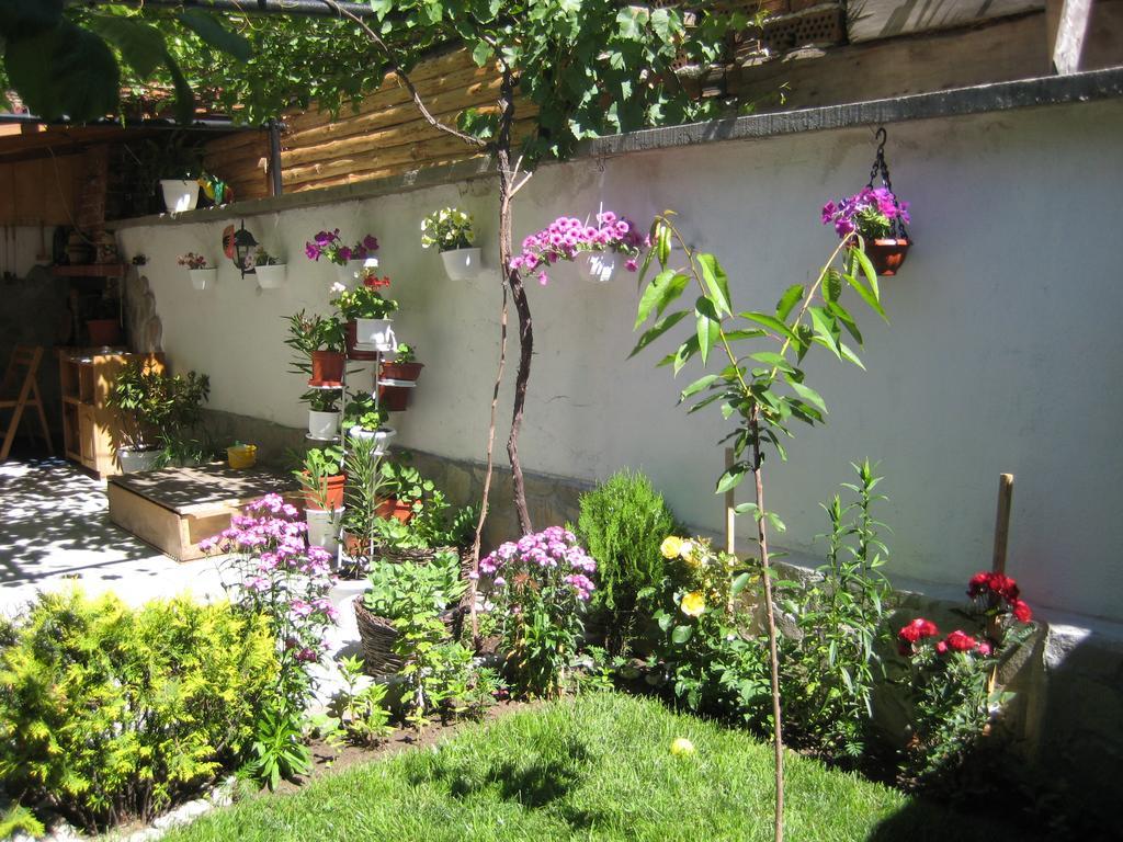 Aseva House Guest House Bansko Luaran gambar
