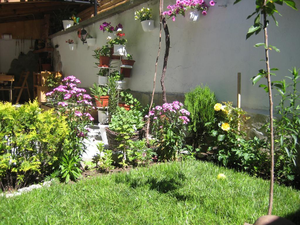Aseva House Guest House Bansko Luaran gambar