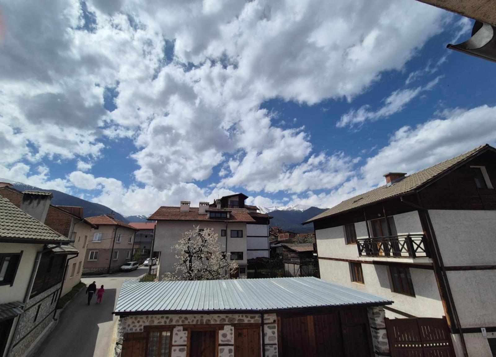 Aseva House Guest House Bansko Luaran gambar