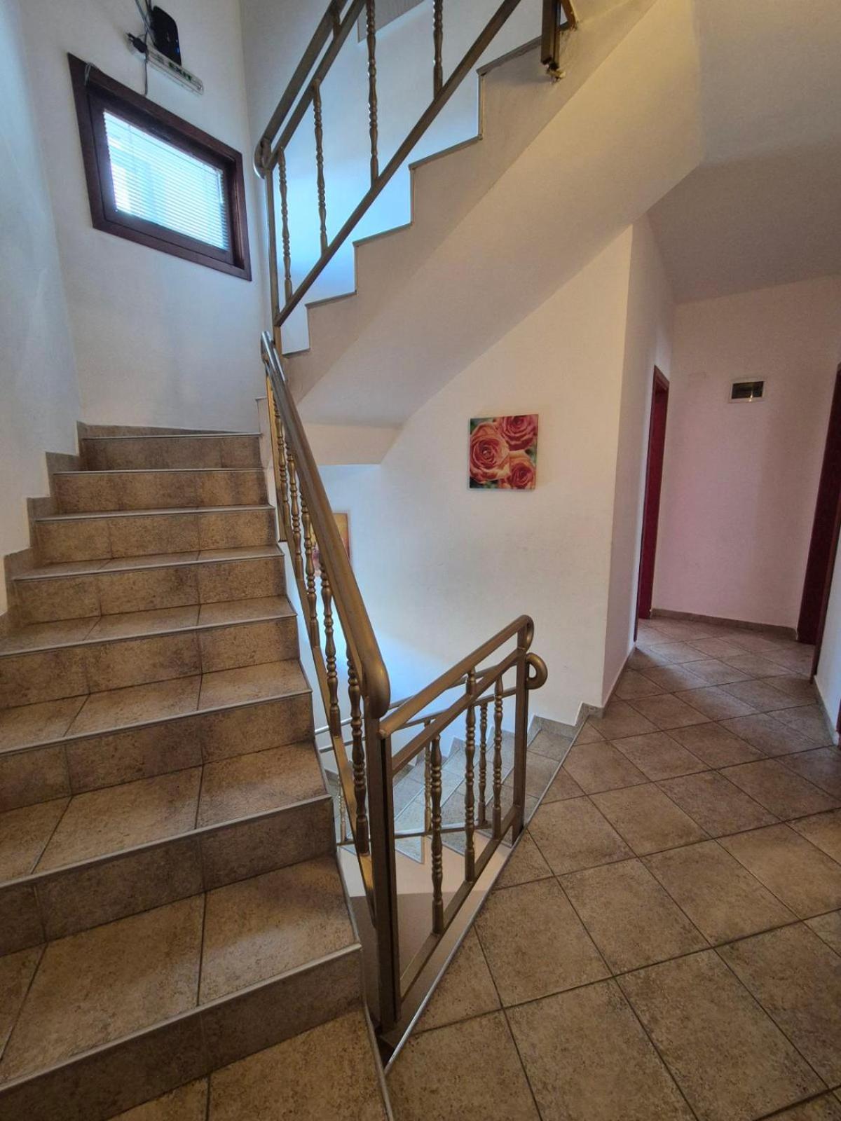 Aseva House Guest House Bansko Luaran gambar